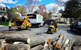 Best Leaf Removal  in Barnsdall, OK